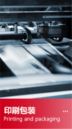 表面粗糙度儀 YSTR201(圖5)